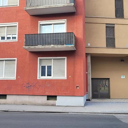 Gemuetliche Wohnung Im Trendviertel Lend غراتس المظهر الخارجي الصورة